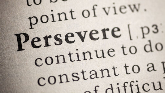 Stick to God’s WILL – Persevering Through a God-Given Vision